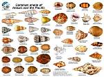 Seashells from Hawaii: What You Need to Know Before You Collect