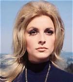 Sharon Tate Facts, Bio, Wiki, Net Worth, Age, Height, Family, Affair, Career, Famous For, Biography, Ethnicity, Nationality, Murders, Death, Baby
