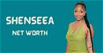 Shenseea Net Worth