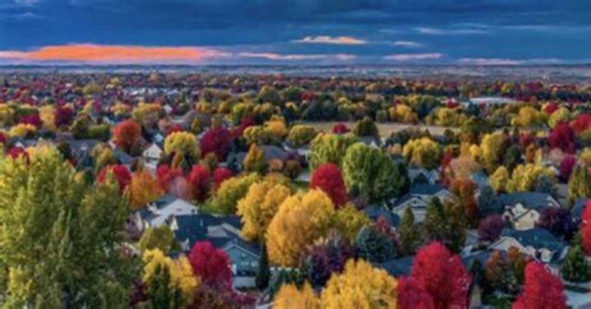 Temukan Kisah Di Balik "Nathan Foster Obituary Residence of Meridian Idaho"