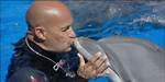 The 2015 Death of Dolphin Trainer Jose Luis Barbero Explained ·