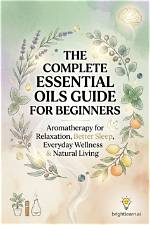 The Essential Guide: Nobblit for Beginners