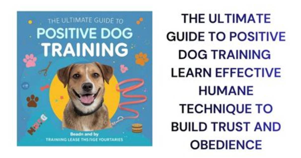 The Ultimate Guide to Being a Dog Daddy
