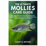 The Ultimate Guide to Molly Nobkit: Everything You Need to Know