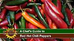 The Ultimate Guide to Red Hot Chili Peppers Girlfriend 19
