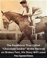 The Unshakeable Pillar in Horse Racing's Storm