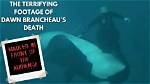 Tilikum Kills Dawn Autopsy Photos
