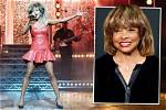 Tina Turner Opens up About Losing Her Son to Suicide ·
