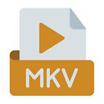 Ultimate Guide to Mkv Movie Downloads