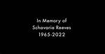 Uncover the Hidden World of Schavaria Reeves: Discoveries and Insights