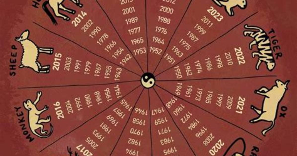 Understanding the Chinese Zodiac Signs: a Deep Dive into 1982