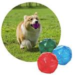 Unleashing Fun: the Pop up Dog Ball Toy