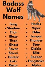 Unleashing the Spirit: Badass Wolf Names for the Fierce and Fearless