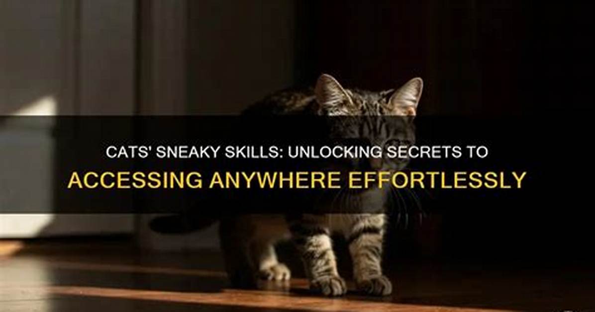 Unlocking the Secrets: I Can Get Any Guy I Want!