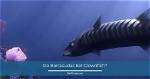 Unraveling the Mystery: Do Barracudas Eat Clownfish?