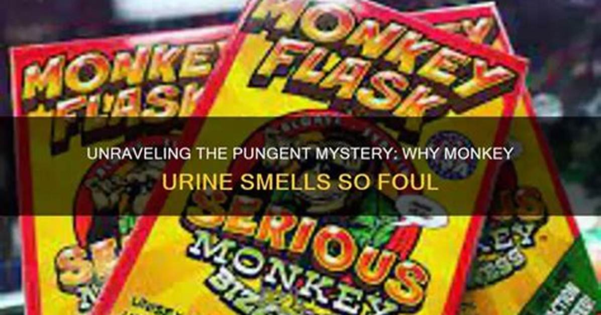 Unraveling the Mystery of Monkey Foul: a Unique Perspective