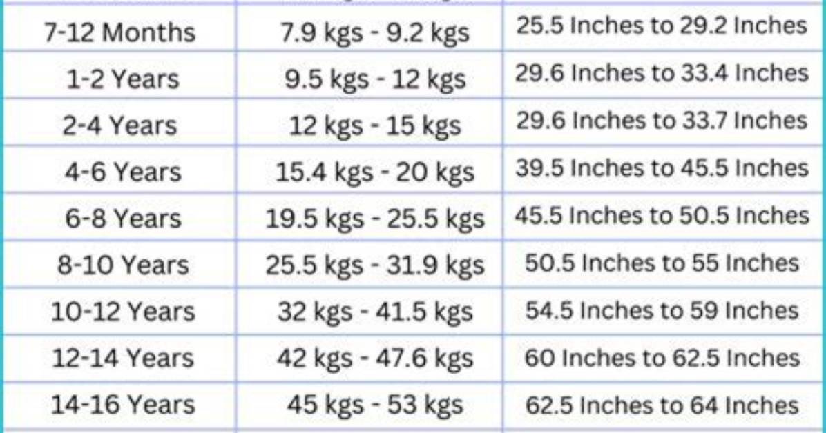 Unveiling Height, Weight, Age, Spouse, and Family Details