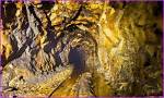 Unveiling Ryan Beesley's Net Worth: Discoveries and Insights