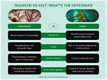 Unveiling the Difference Between Kelp and Seaweed: a Comprehensive Guide
