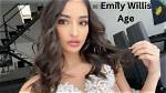Unveiling the Emily Willis Washing Machine Incident: Discoveries and Insights