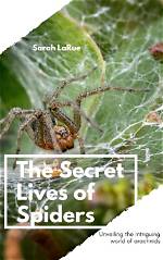 Unveiling the Intriguing World of Spiders in Bali, Indonesia