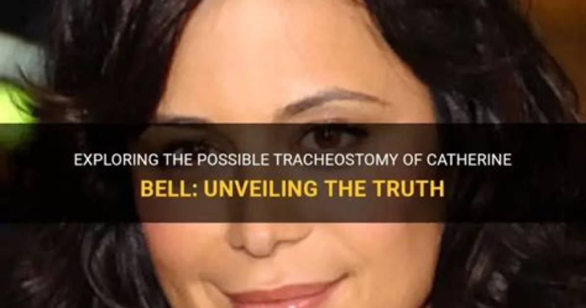 Unveiling the Mystery: Who Is Catherine Bell's Partner?