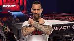 Unveiling the Secrets: Cm Punk's Impact on Children's Entertainment