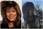 Unveiling the Secrets of Tina Turner's Daughter's Singing Triumph