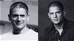 Wentworth Miller: the Life and Career of a Talented Actor