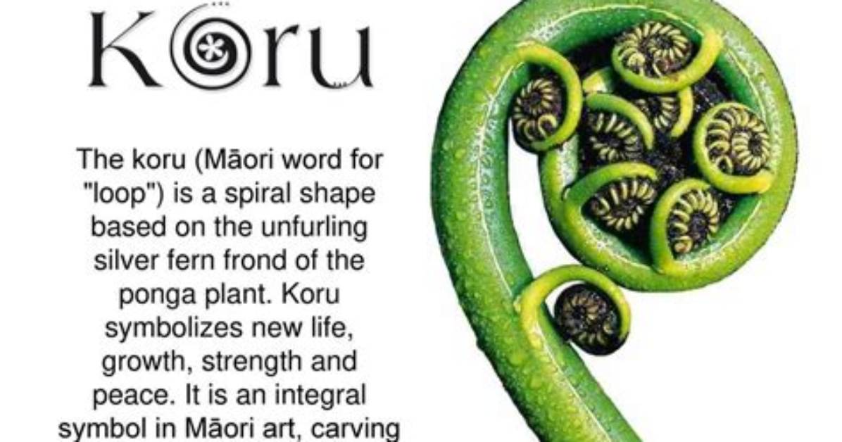 What Does a Koru Represent?