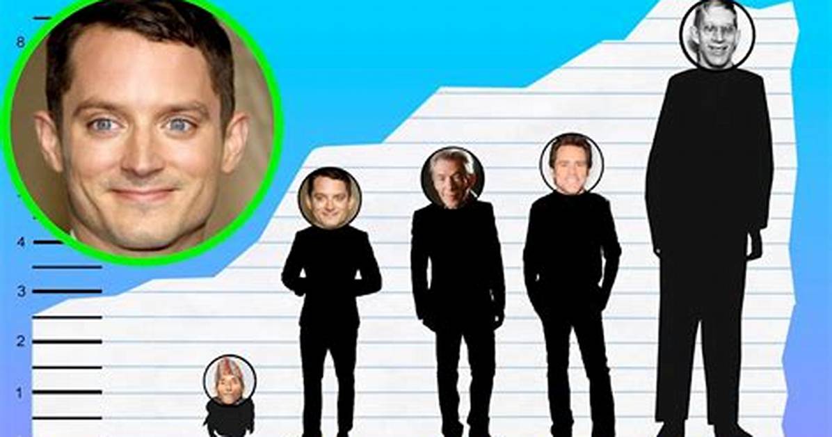 Who Is Elijah Wood? Wiki, Age, Height, Net Worth & Wife Revealed