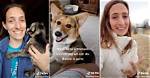 Who Is Mommy Farmer Dog Corgi Boone