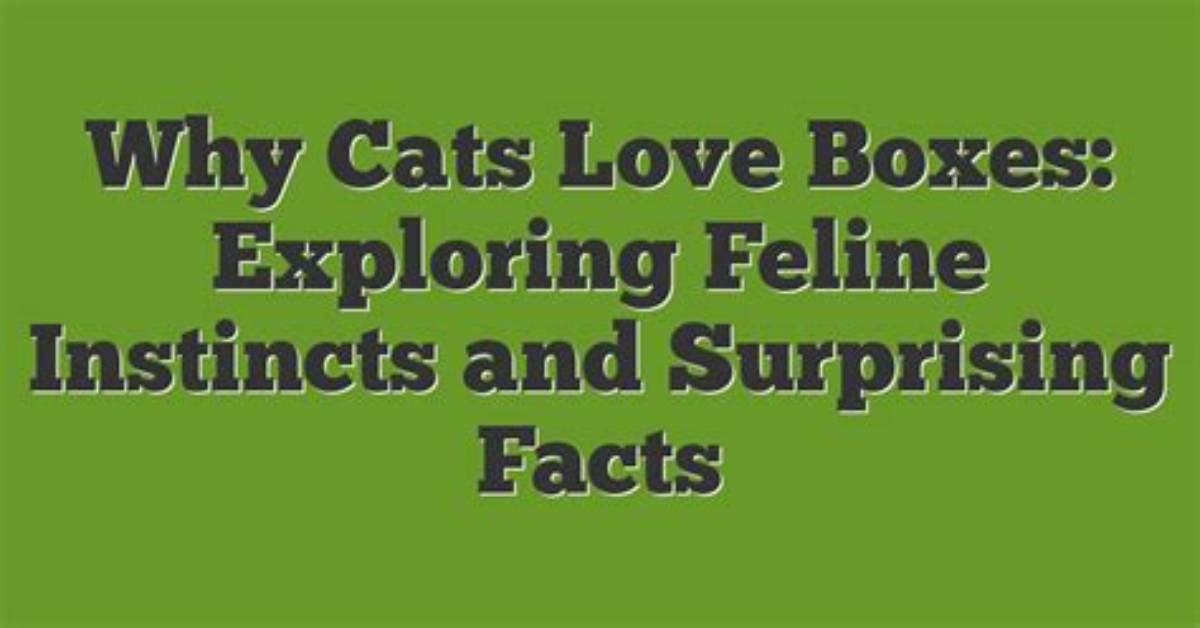 Why Can't This Be Love? Exploring the Depths of Unrequited Emotion