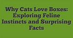 Why Can't This Be Love? Exploring the Depths of Unrequited Emotion