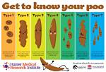 Why Do You Poop More When You Have a Cold? Here's How Seasonal Illnesses Can Mess up Your Gut