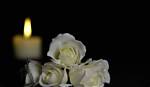 Zach Floss Obituary – What Happened? Death Cause and Accident Details